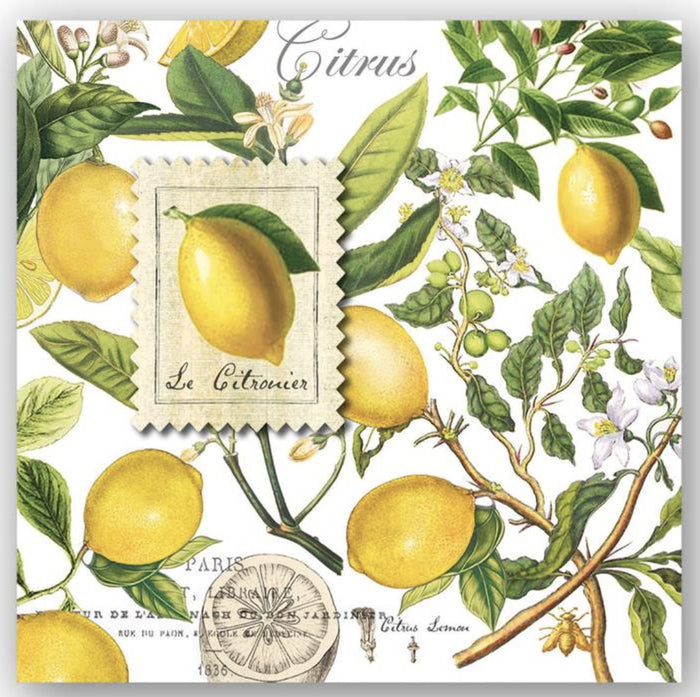 Cocktail Napkins Lemon Basil Michel Design Works
