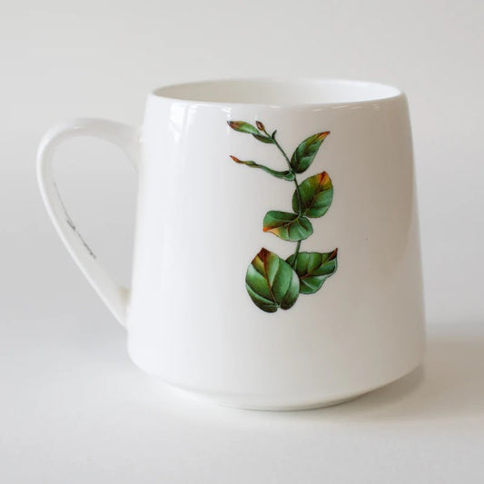 Marini Ferlazzo Mug 450Ml – Echidna Bushwalk