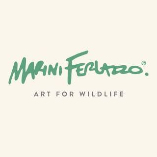MARINI FERLAZZO