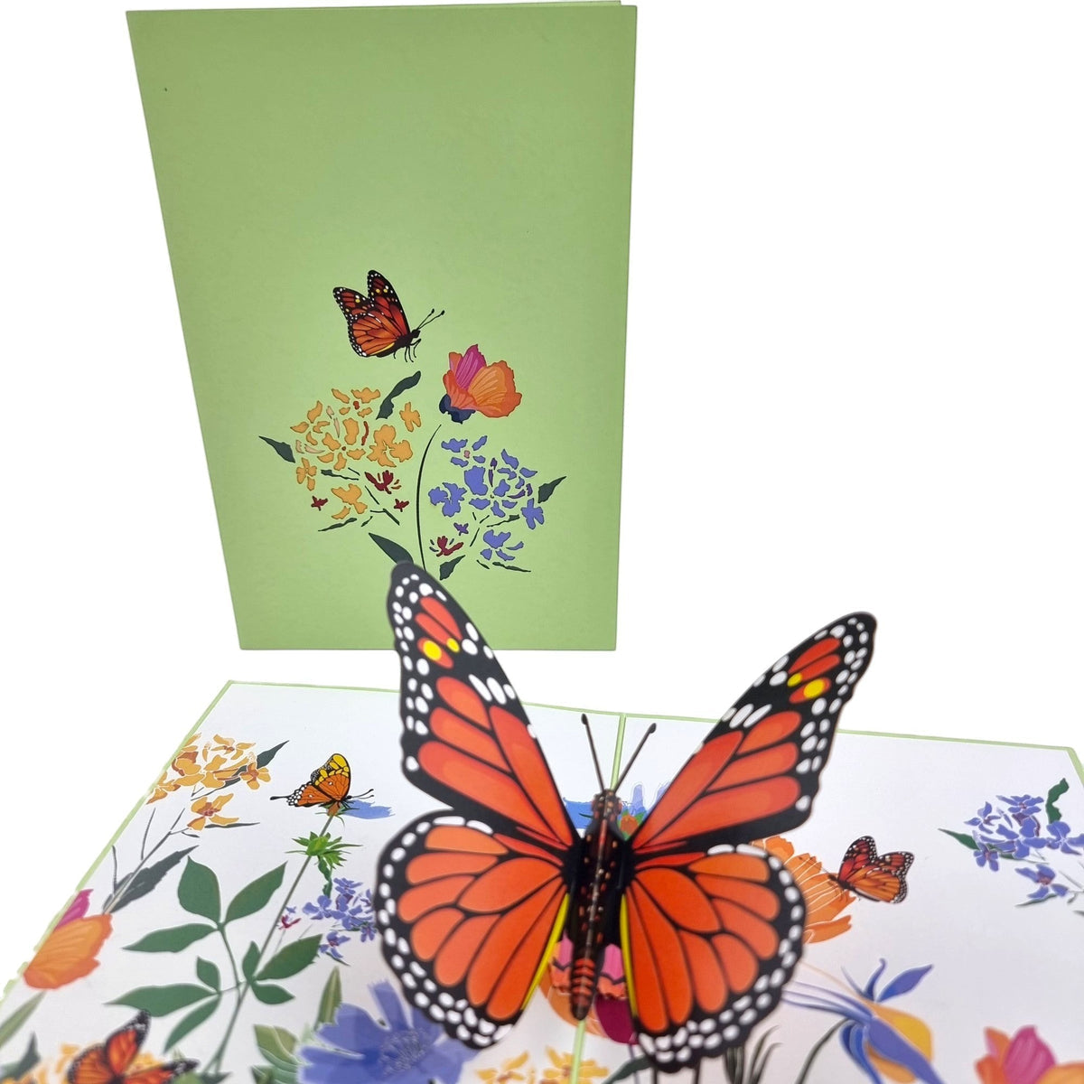 Colorpop Card Orange Butterfly