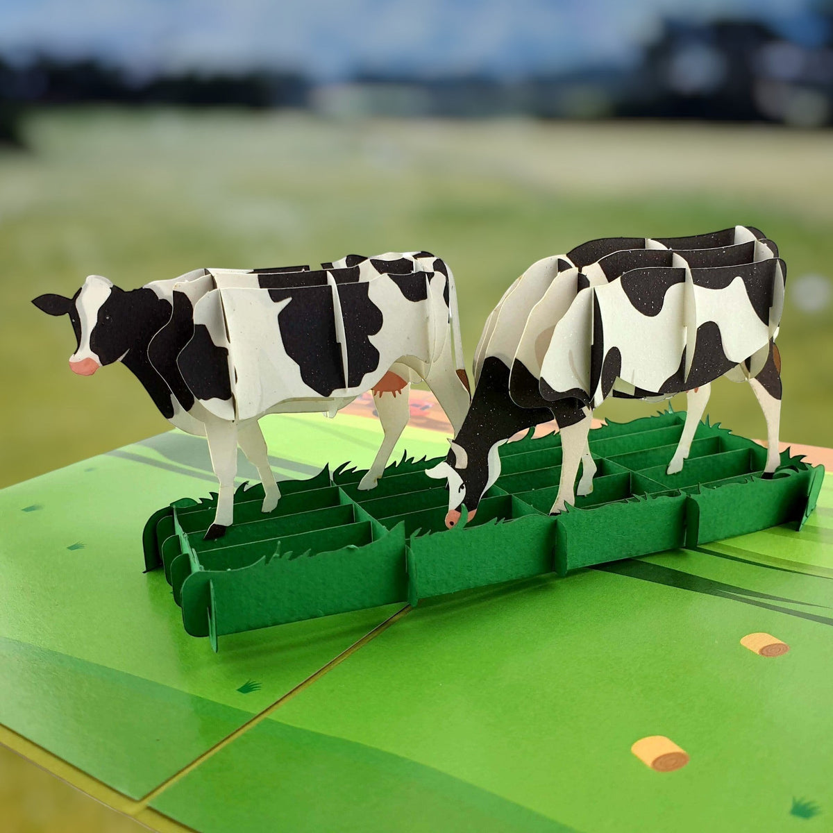 Colorpop Up Card Cows