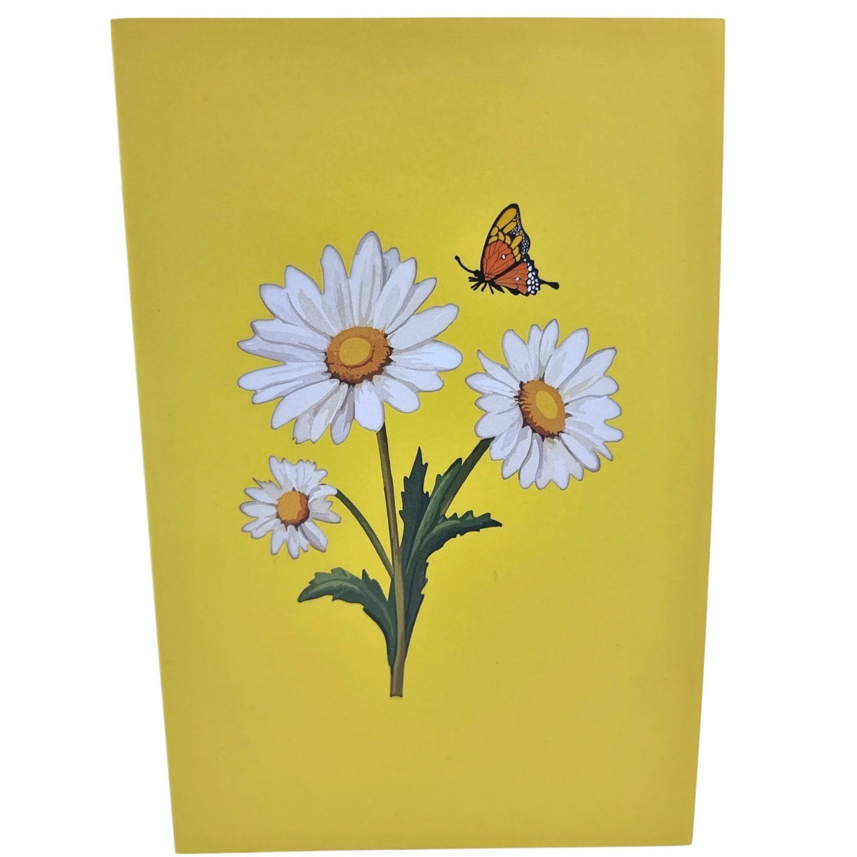 Colorpop Up Card Daisy Bouquet