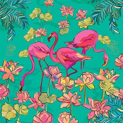 Flamingo Adventure CARD