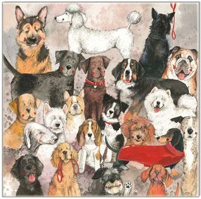 Best of Breed CARD