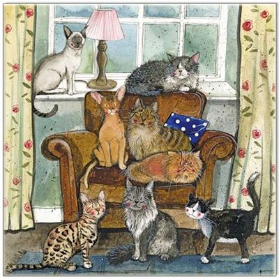 Cat House CARD