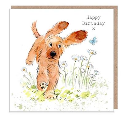 Jumping Cocker Spaniel with Daisies CARD