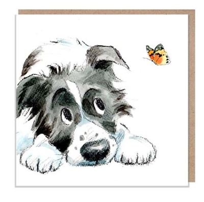 Black and White Collie with Butterfly CARD