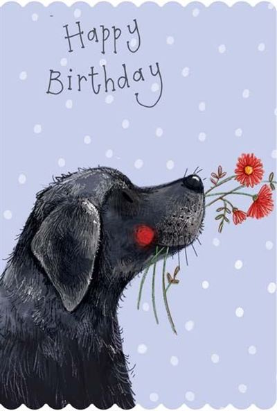 Labrador and Flower Birthday CARD