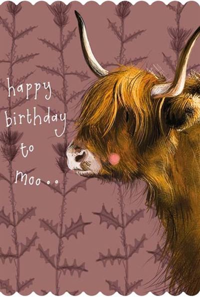 Highland Cow Birthday CARD