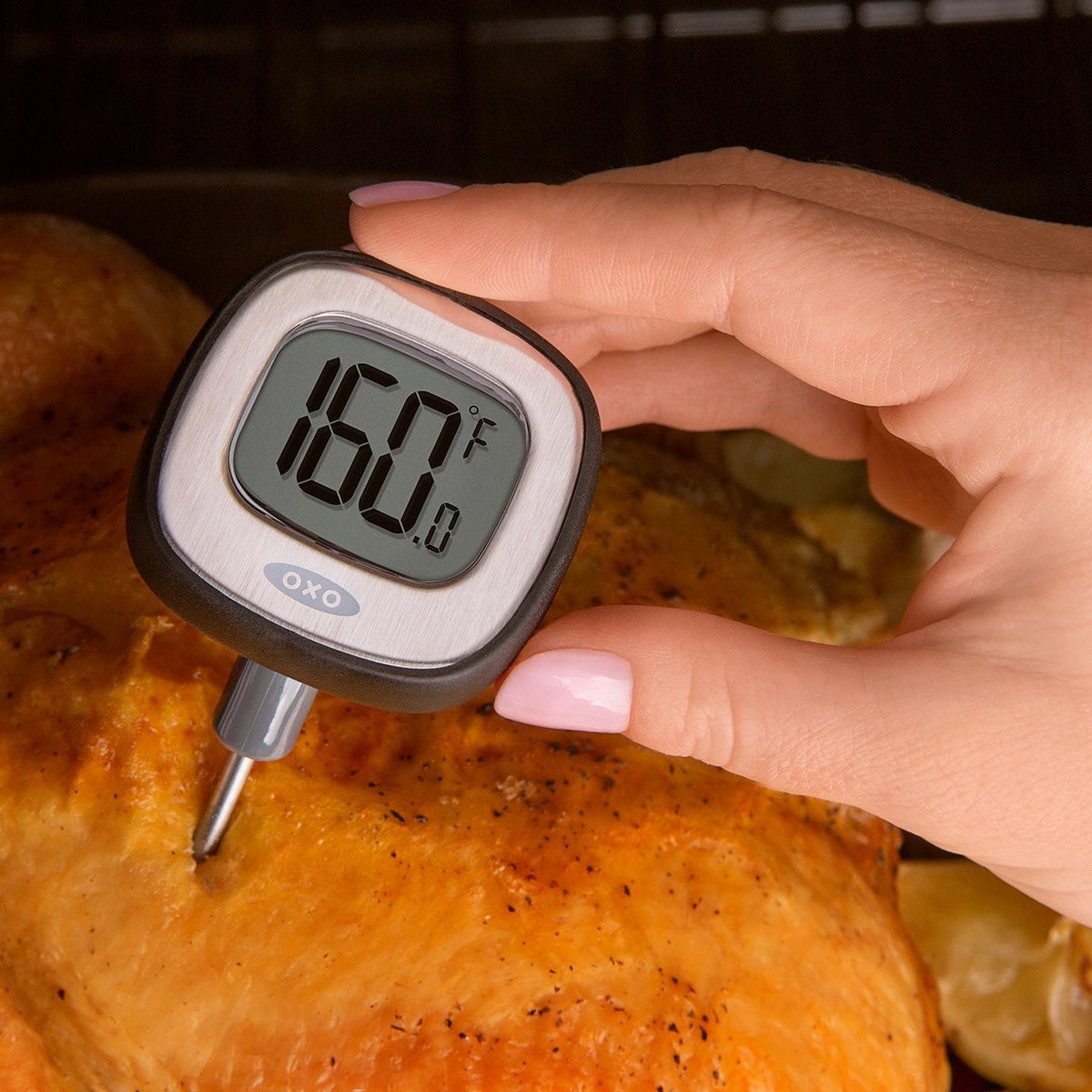 Oxo Gg Digital Instant Read Thermometer
