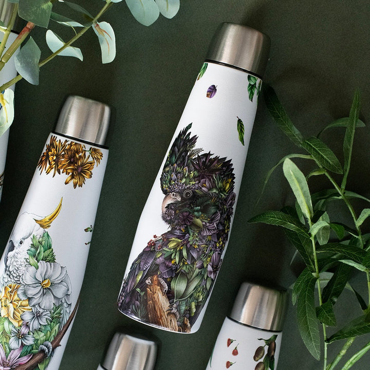 Double Wall Insulated Drink Bottle 550ml – Red-tailed Black Cockatoo