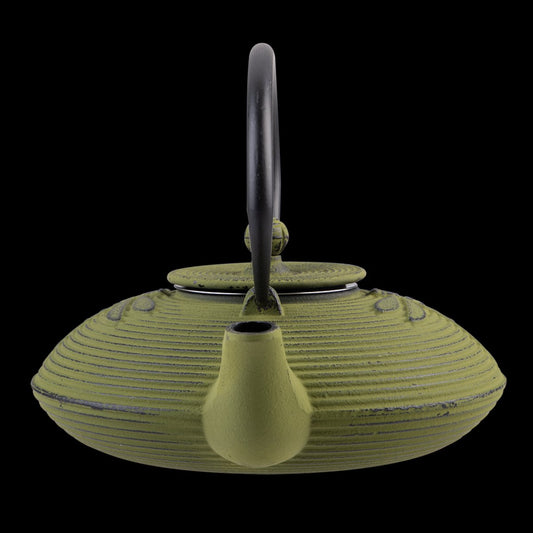 Cast Iron Teapot 770ml Dragonfly Green