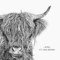 Shaggy Cow Card